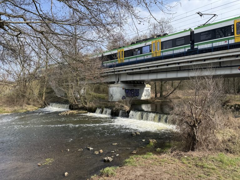 Bolimowska Kontra 2026